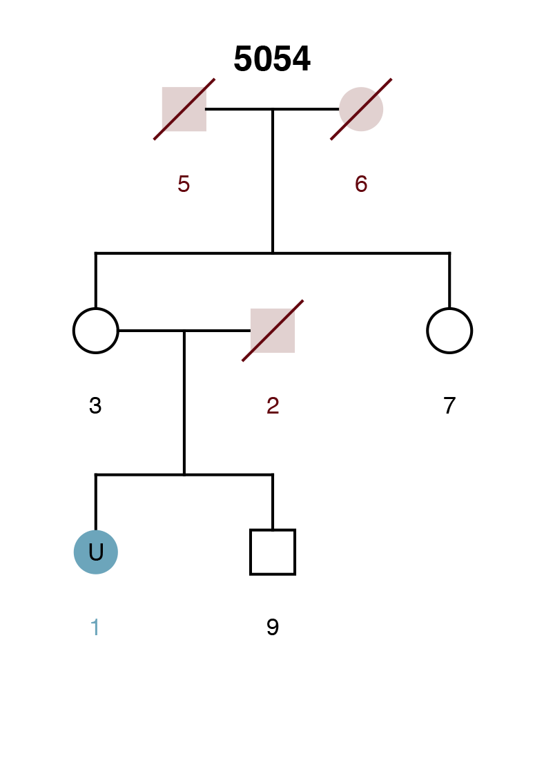 Pedigree Image 2